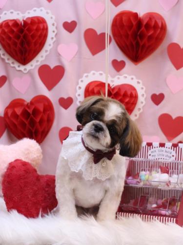 20240211うーたんくん